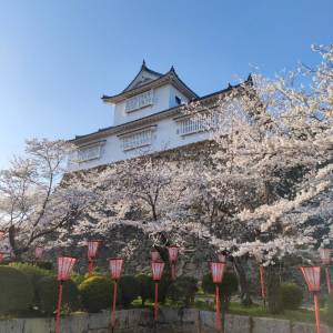 予想最高気温は１９℃