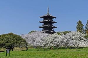 ４月になって２回目の月曜日