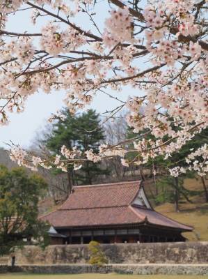 予想最高気温は１９℃