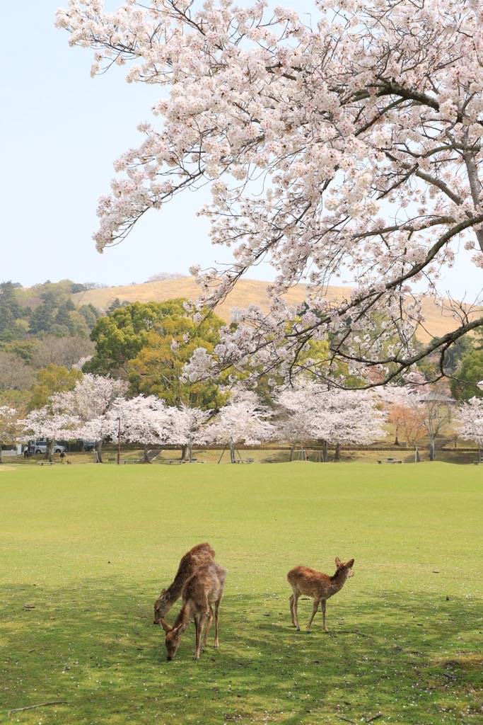 お疲れ様でした