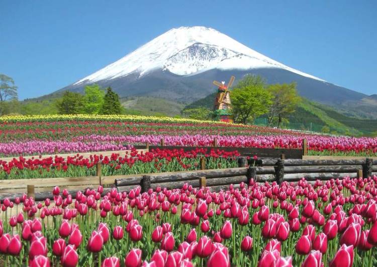 ４月になって３回目の日曜日