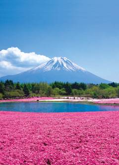 ５月になって初めての火曜日