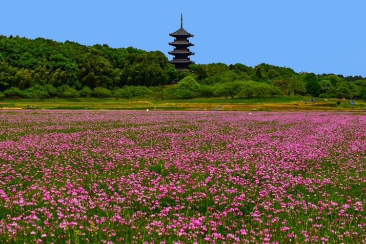 予想最高気温は２４℃