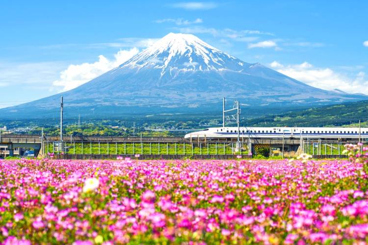 ５月になって２回目の土曜日