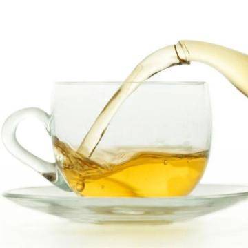 ウラジロガシ茶の効能・効果は？