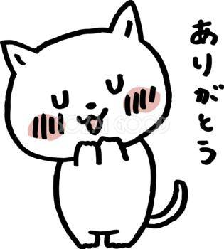 たまちゃん　新妻　体験