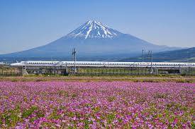 ５月になって４回目の水曜日