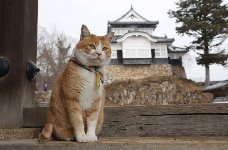 ありがとうございました