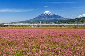 ５月最後の日曜日