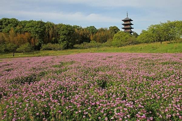 予想最高気温は２８℃