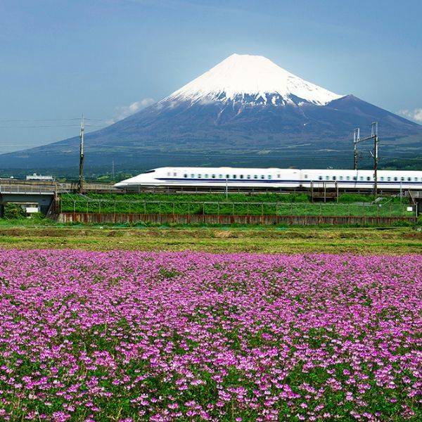 出勤の予定でしたが、お休みさせていただきます