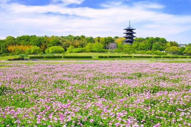 予想最高気温は昨日と同じ２６℃