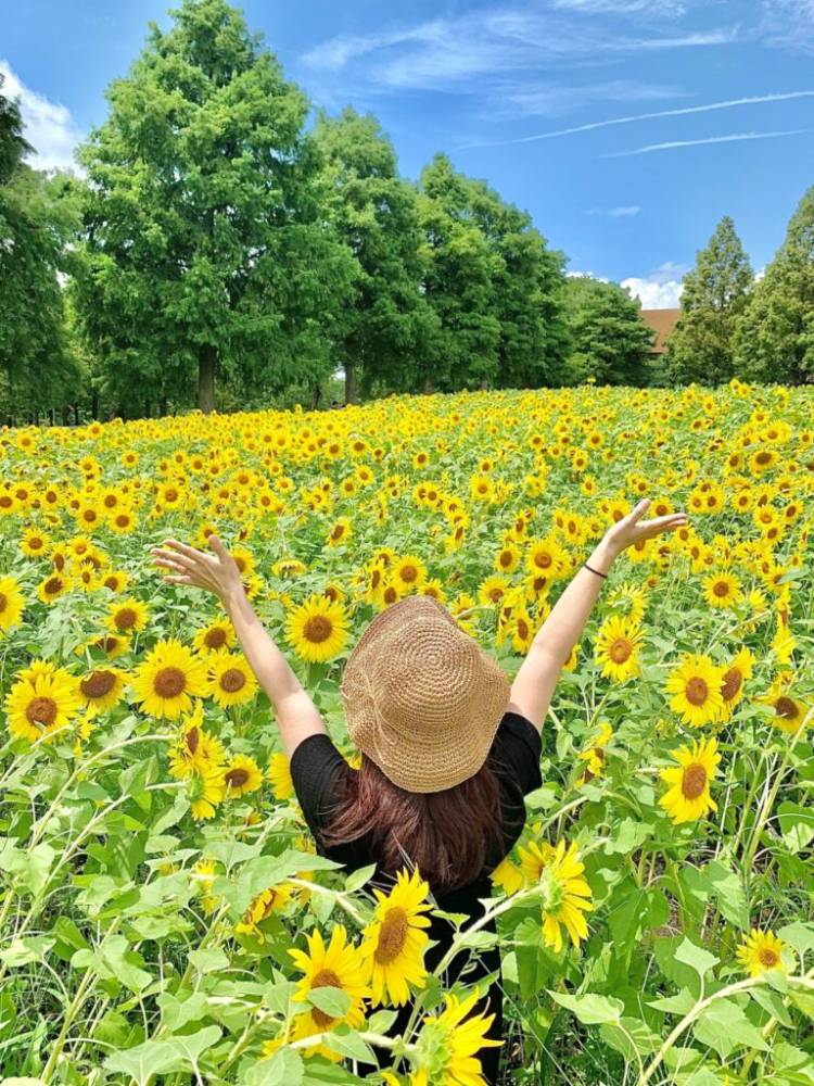 ７月になって初めての土曜日