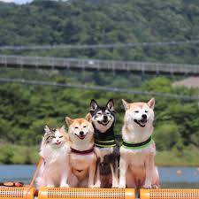 さゆり　　指名料無料中