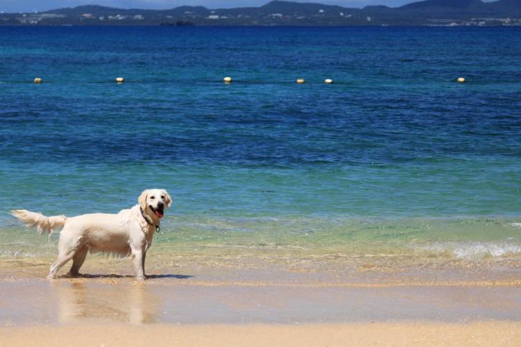 海の日