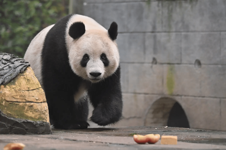 さゆり　　指名料無料中