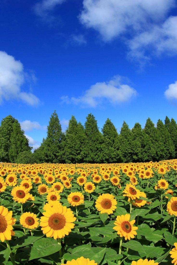 ８月になって初めての土曜日