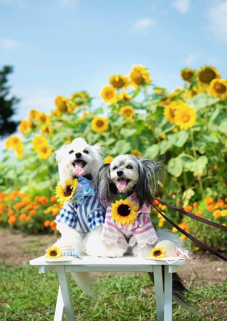 ８月になって初めての月曜日