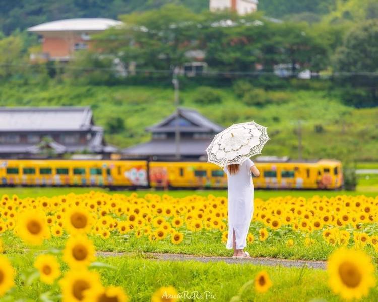 ８月になって初めての水曜日