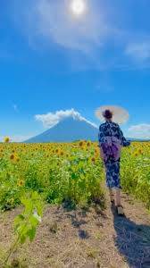 ８月になって２回目の火曜日