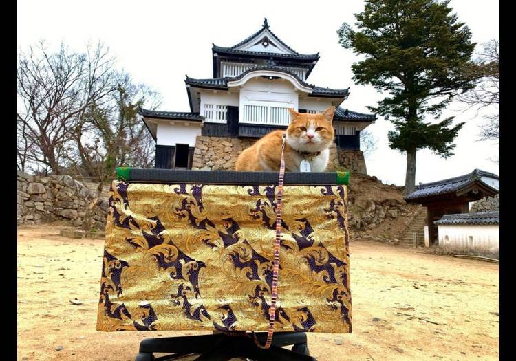 さゆり　　指名料無料中