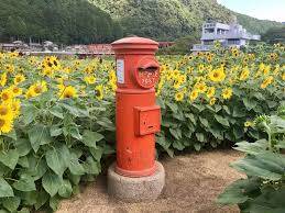 ８月になって３回目の月曜日