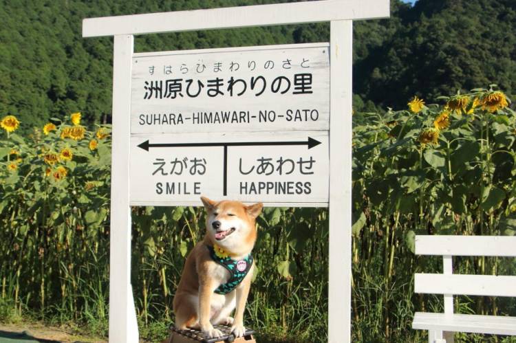 予想最高気温は３４℃