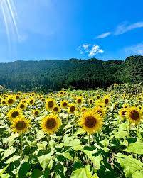 ９月になって初めての月曜日