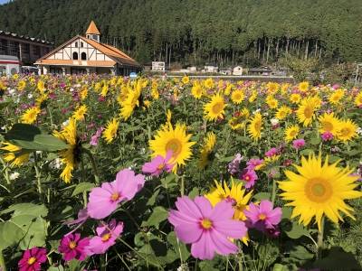 ９月になって初めての火曜日