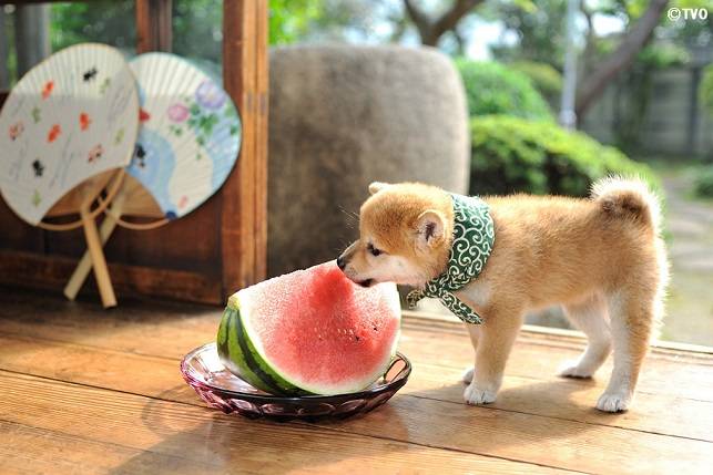 さゆり　　指名料無料中