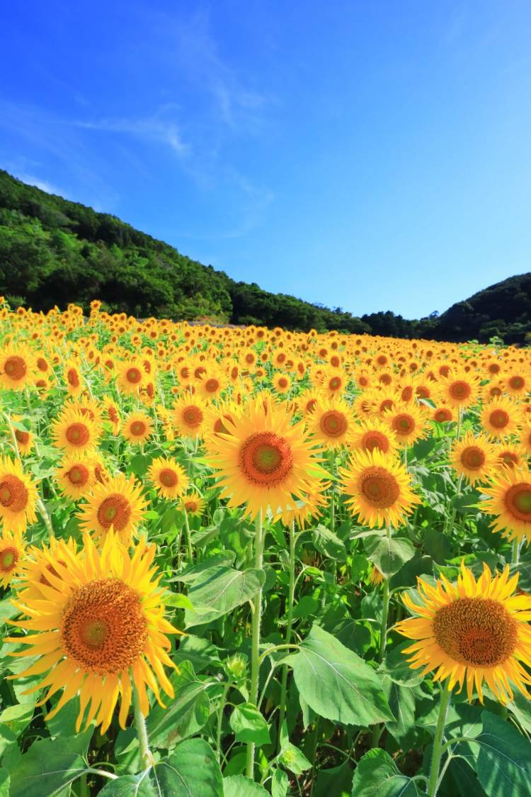 ９月になって初めての土曜日