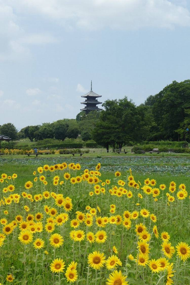 ９月になって２回目の木曜日