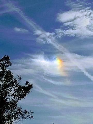 今日も彩雲の遭遇