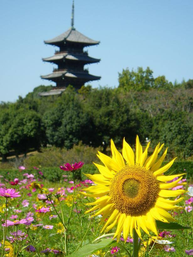 予想最高気温は３２℃