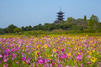 予想最高気温は２８℃