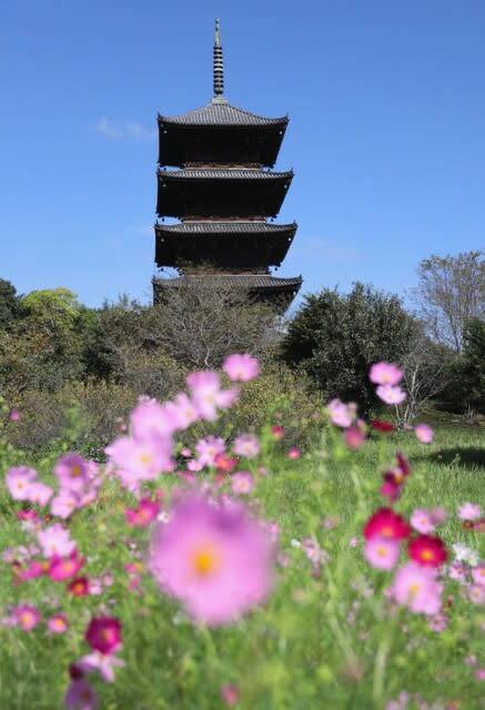 世間では三連休の中日