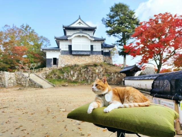 お疲れ様でした