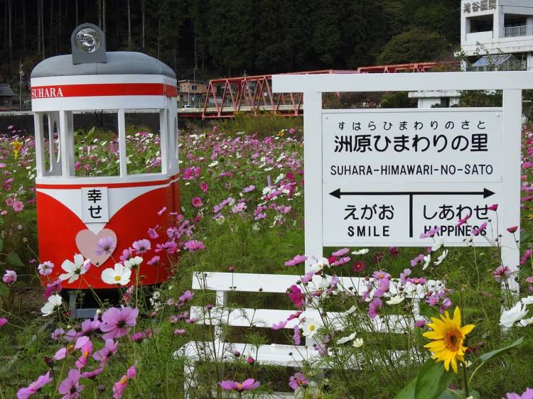 予想最高気温は２２℃