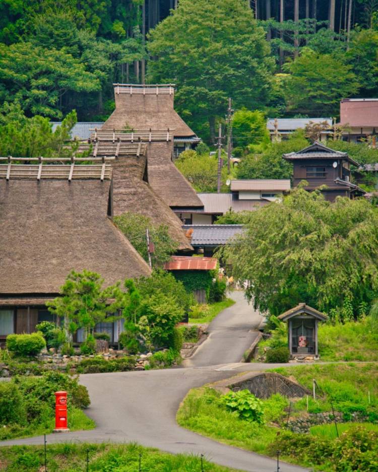 １１月になって３回目の土曜日