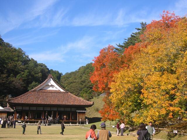 予想最高気温は１７℃