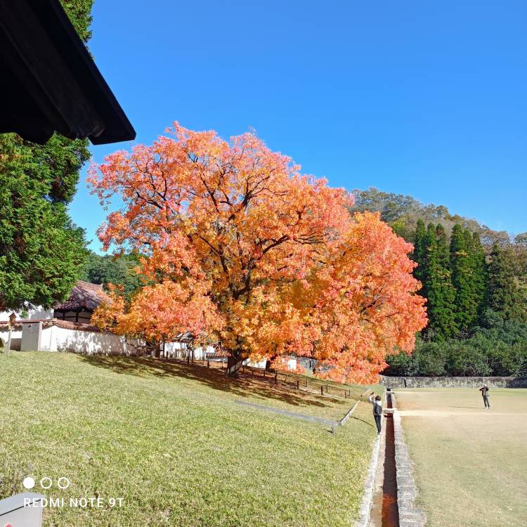 出勤しました。