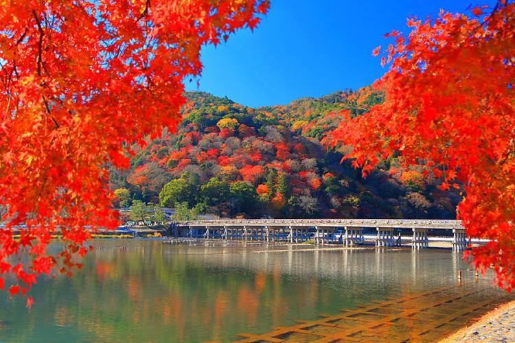 １１月になって３回目の木曜日