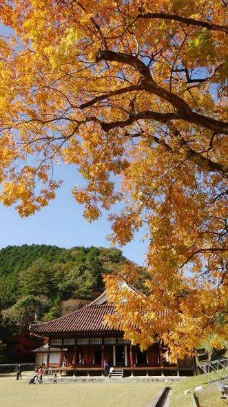 １１月最後の水曜日