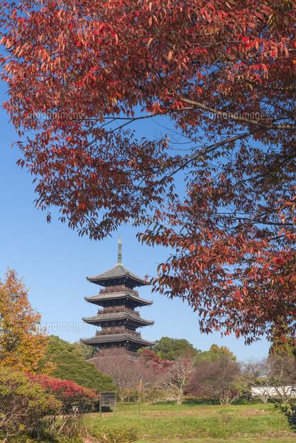 予想最高気温は１３℃