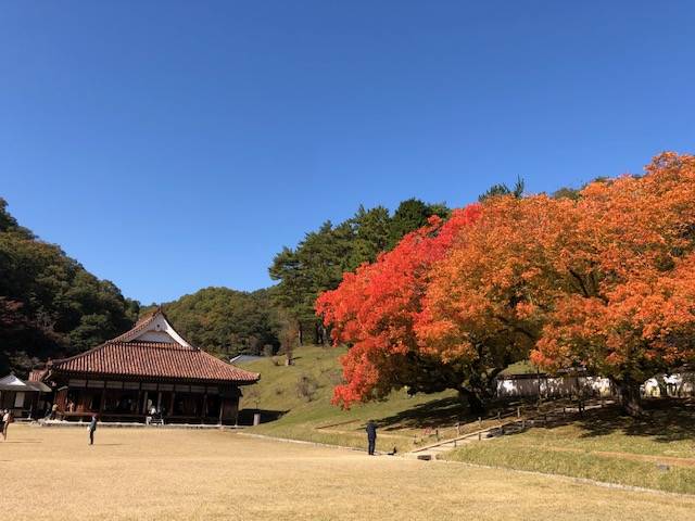 １１月の終わりに