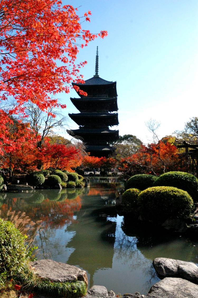 １２月になって初めての水曜日