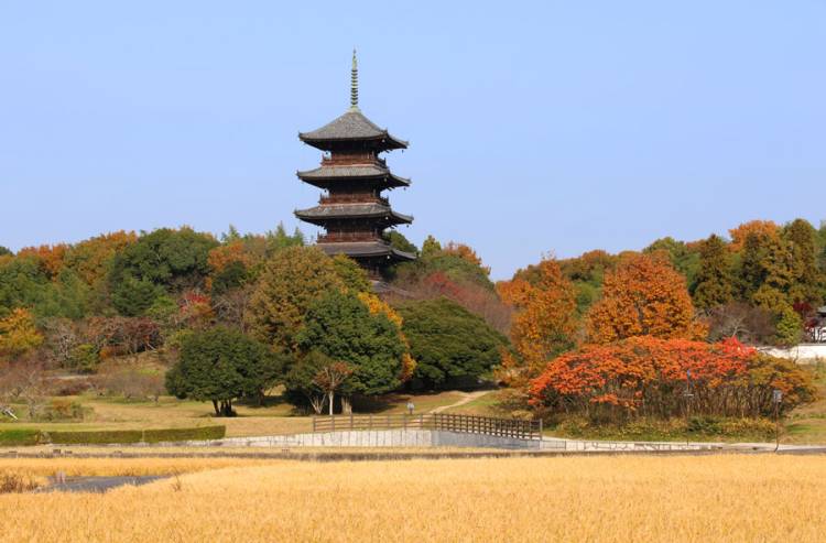 １２月になって２回目の日曜日