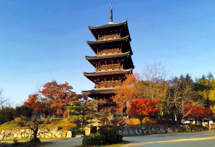 １２月になって２回目の火曜日