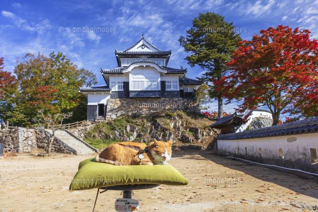 １２月になって２回目の金曜日