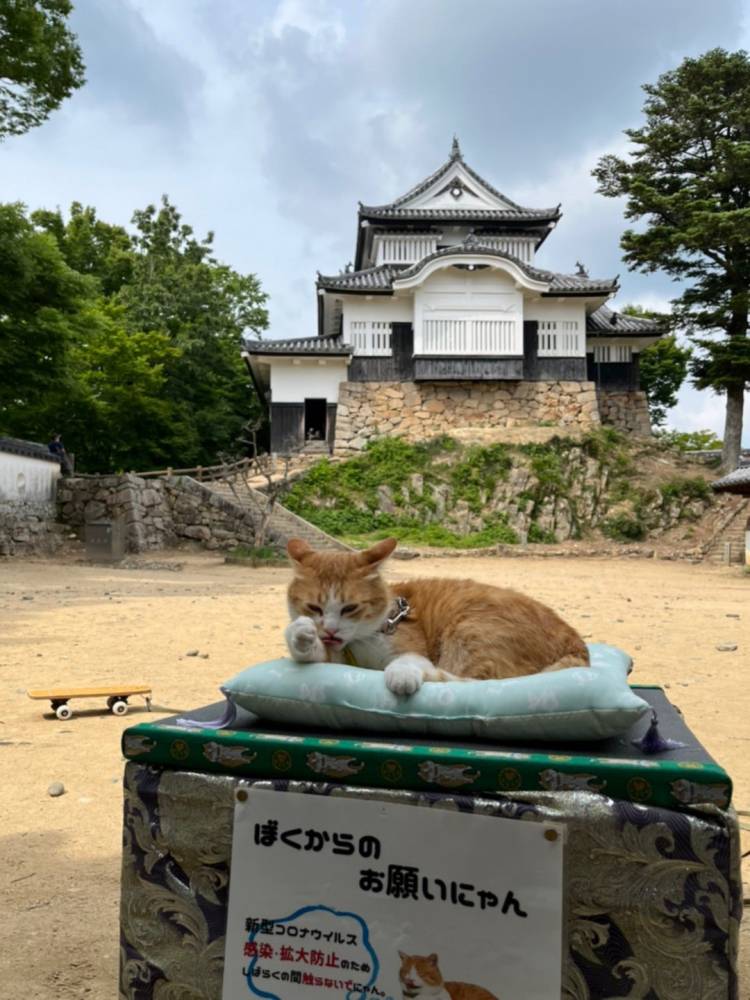 予想最高気温は１２℃